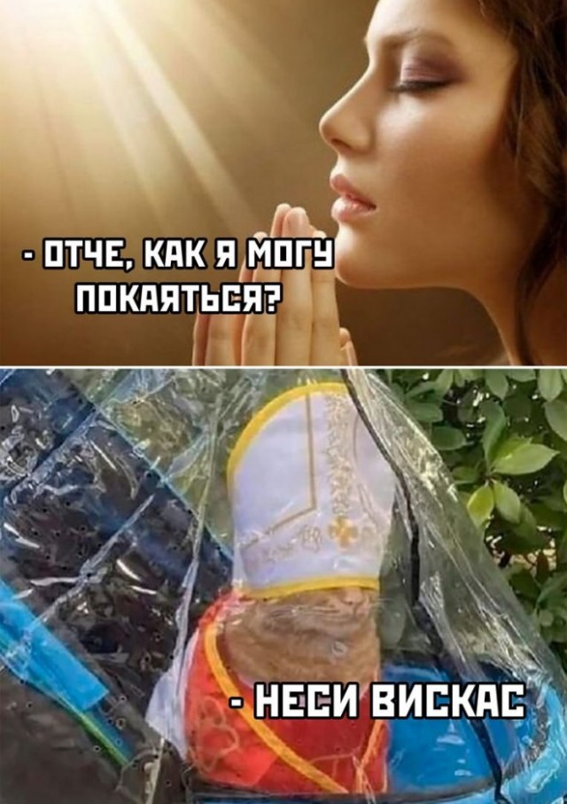 Коты в США - 4