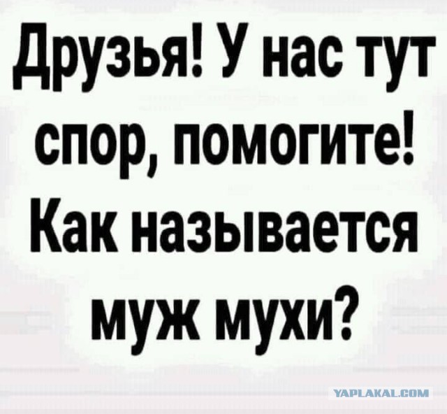 Так себе картинки 01.11.2021