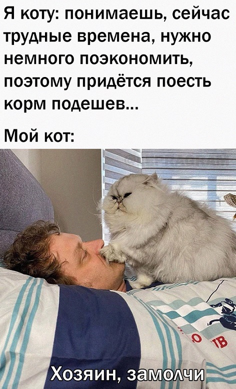 40 картинок разных 22.03.2022
