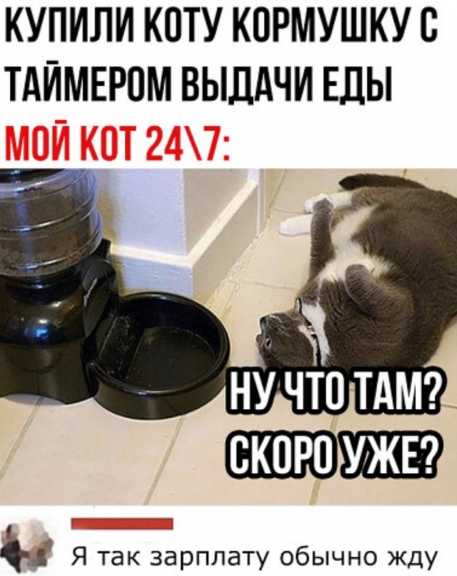 40 пятничных картинок разных 06.05.2022