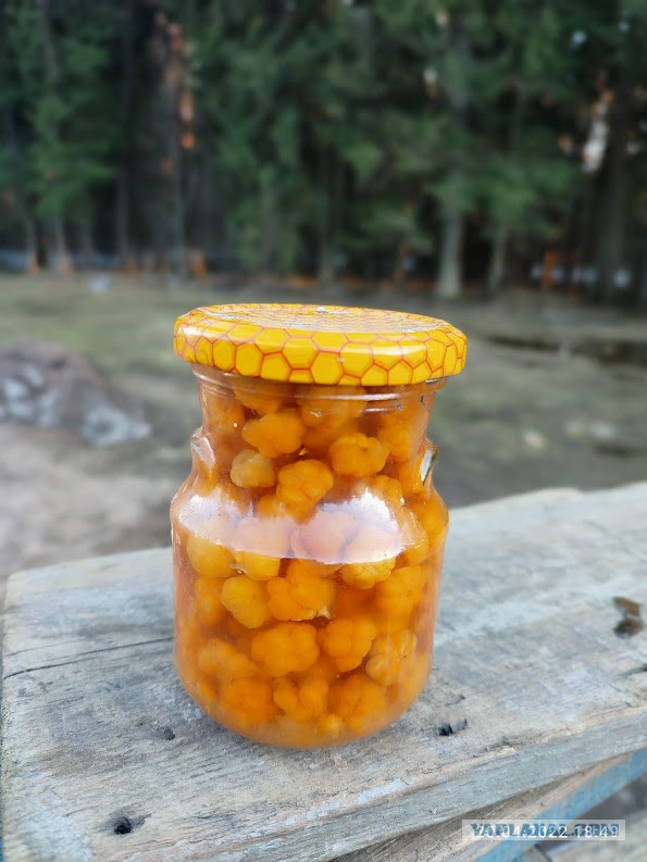 Из Казахстана в Карелию на машине