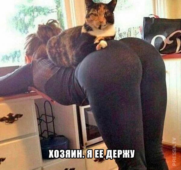 Мало картинок