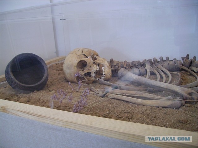 Поселение Аркаим на Южном Урале. История обнаружения ровесника Стоунхенджа и египетских пирамид