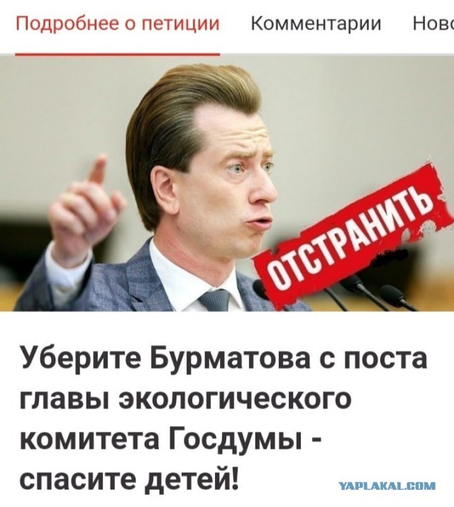 «Я тоже люблю собак». Мэр Бодайбо предложил отстреливать бездомных животных.