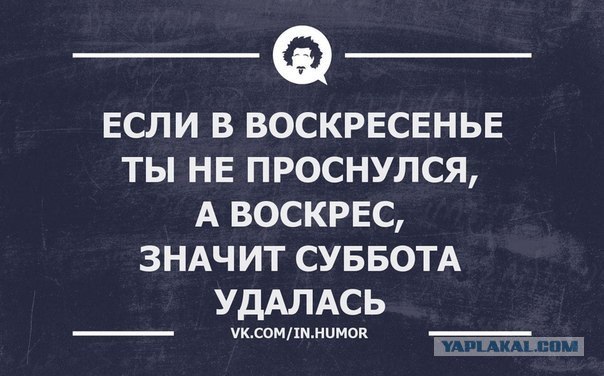 Баяны 10-ти летней выдержки