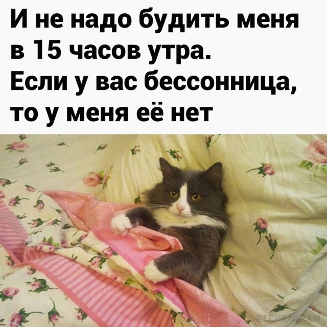 Немного картинок для настроения - 161
