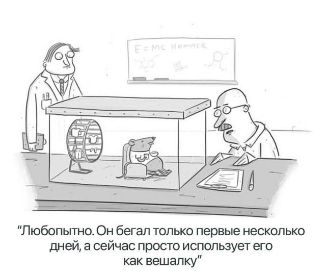 67 разных картинок для настроения - 7