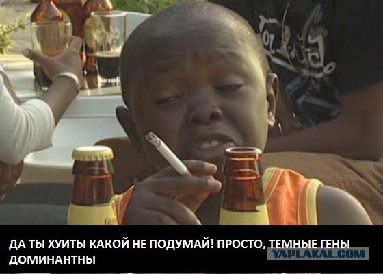 Жизнь устраивает