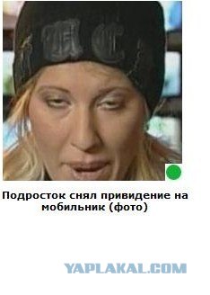 Автодемотиватор на ЯПе