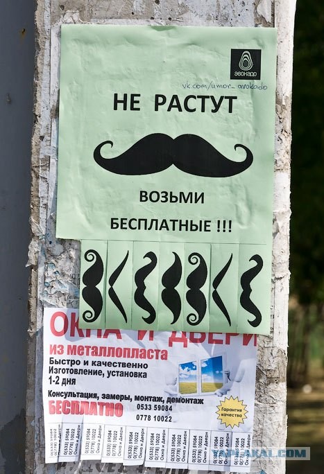 Увиденный мною позитив в Волгограде