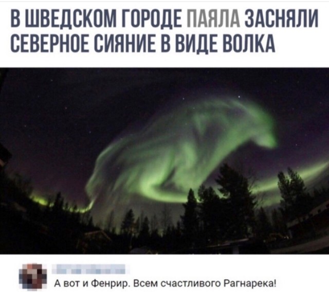 Так себе картинки 31.12.24