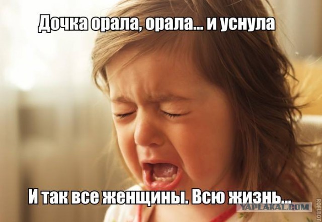 Веселые картинки в пятницу (07.02)