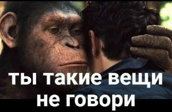Щука провожает своего напарника в последний путь