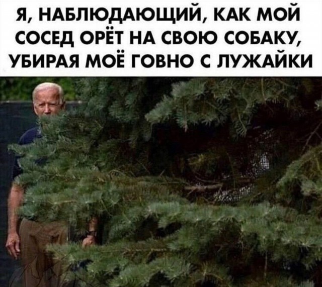 Накидал, братва, картинок