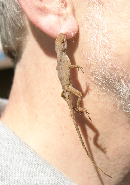 Испаноязычная прелесть.