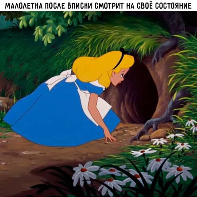 Картинок немножко на четверг