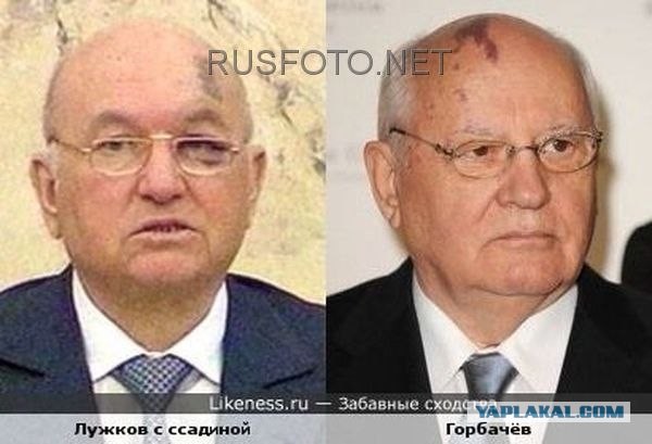 Говорят, что они внешне похожи