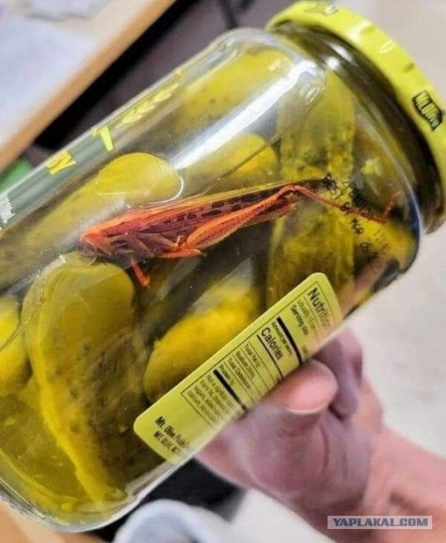 Наскрёб с древней флешки картинки.