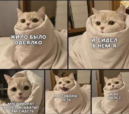 Котямбосы