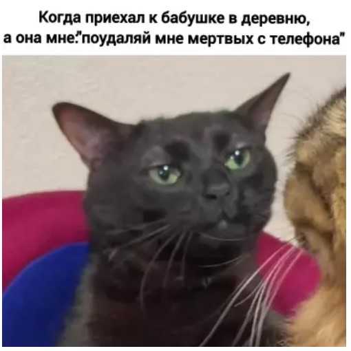 Картиночки, баянчики 01 апреля
