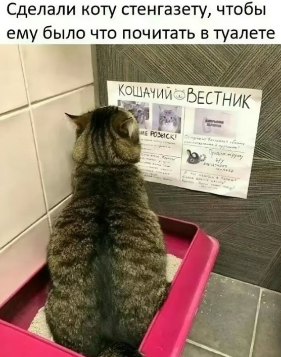 Картиночки, баянчики 24 апреля