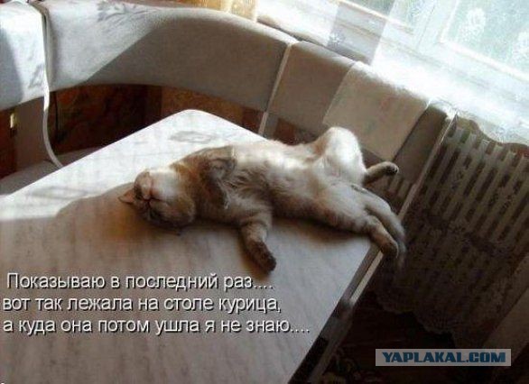 Ладушки-ладушки