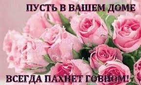 Мозг утерян безвозвратно, мы танцуем прикроватно!