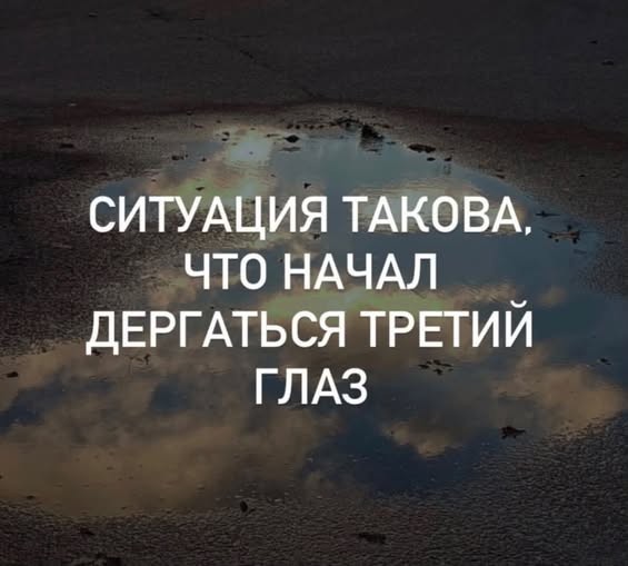 Веселые картинки в пятницу (23.10)
