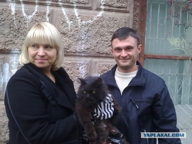 Как прохожие любопытного кота спасали