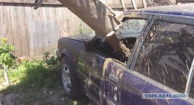 Злой у меня двор