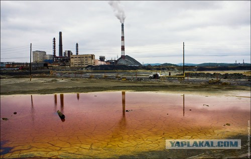 Shell и сланцевый газ!