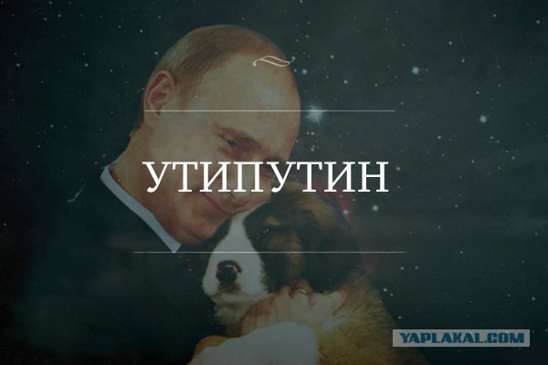 Прикольные пикчи