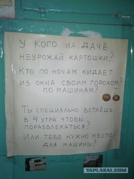 В нашем доме поселился замечательный сосед...