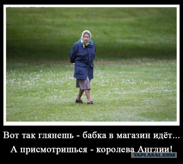 Подборка демотиваторов