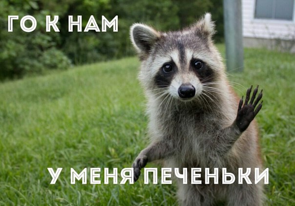 С Тяпницей!