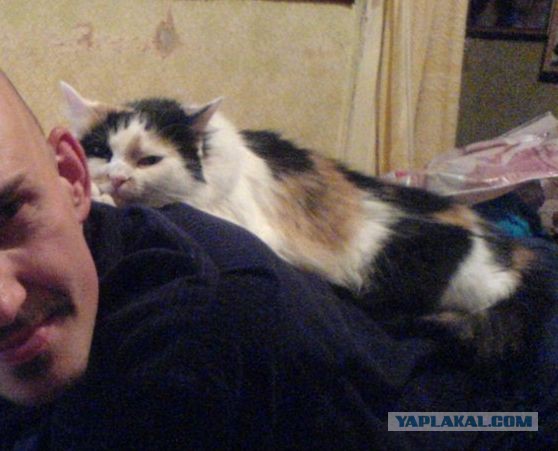 Как я попил кофе с РСП