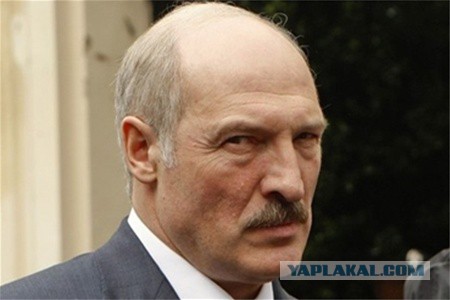 Чирлидерство в  Беларуси