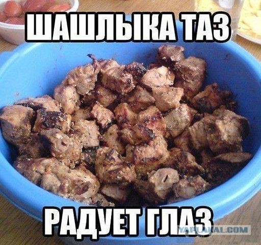 Вегетарианство