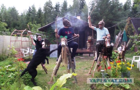 Причина почему не стоит заводить