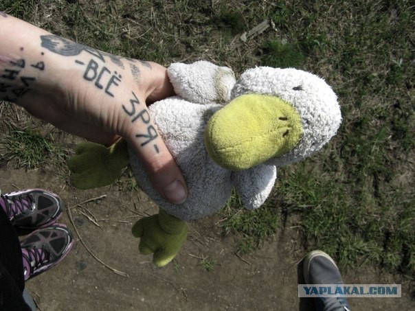 Ужасы и приколы из соцсетей 18+