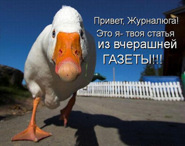 К расстрелу корейского министра из зенитки