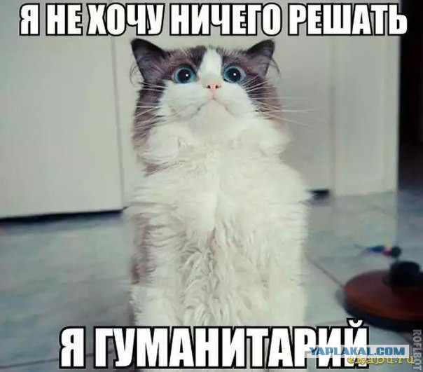 В РГГУ сорвали лекцию Николая Старикова