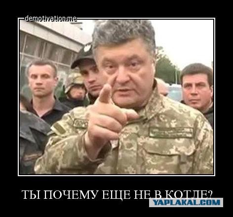 Китай получает 315 тыс гектаров земли в Забайкалье