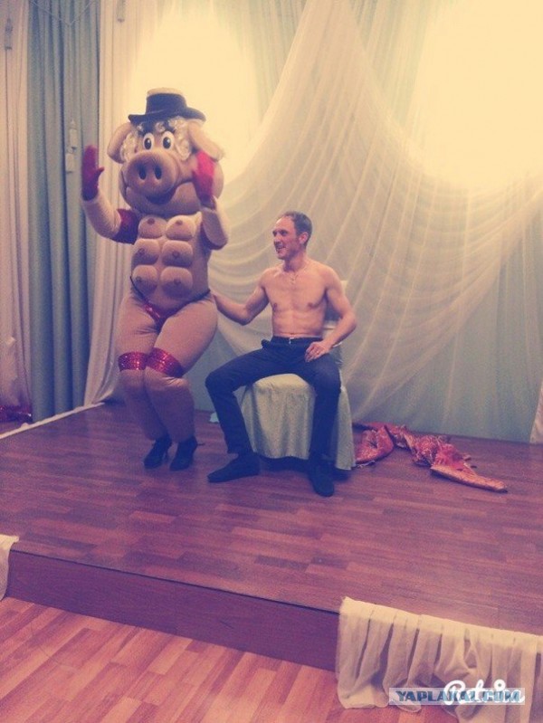 Мешанина прикольных картинок из сети