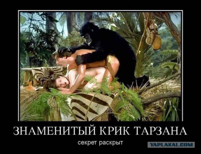 Подборка демотиваторов