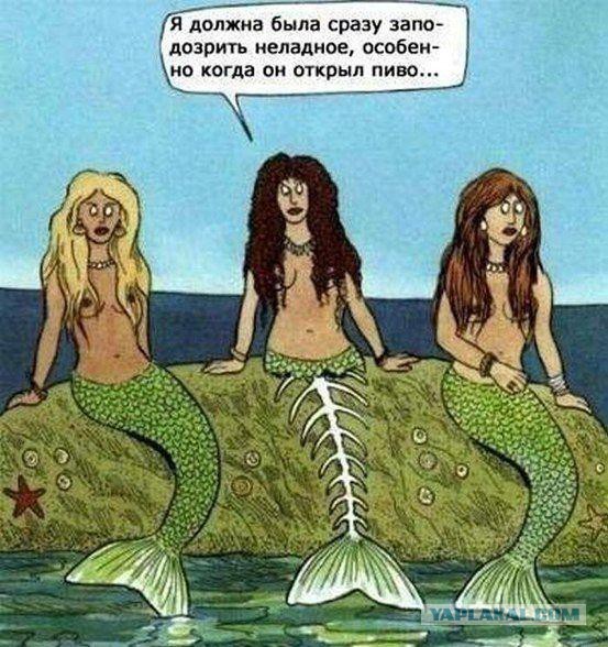 Черный юмор из социальных сетей