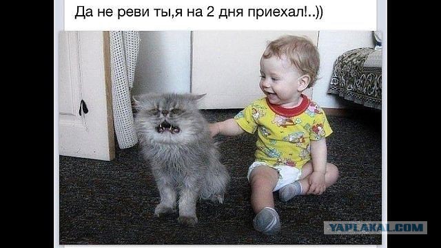 "Залюблю... залюблю!"