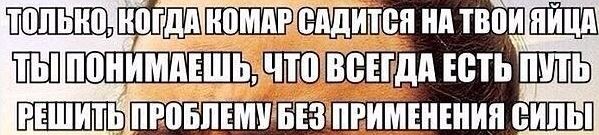 Wargaming 31