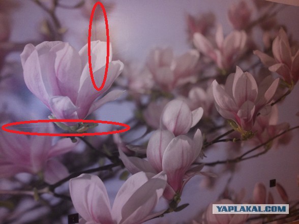 Как я ремонт запилил