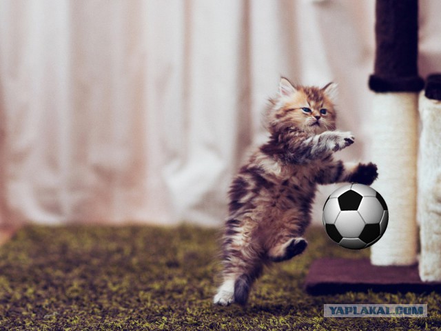 Подборка картинок